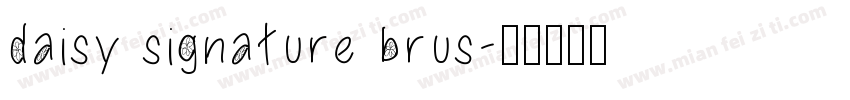 daisy signature brus字体转换